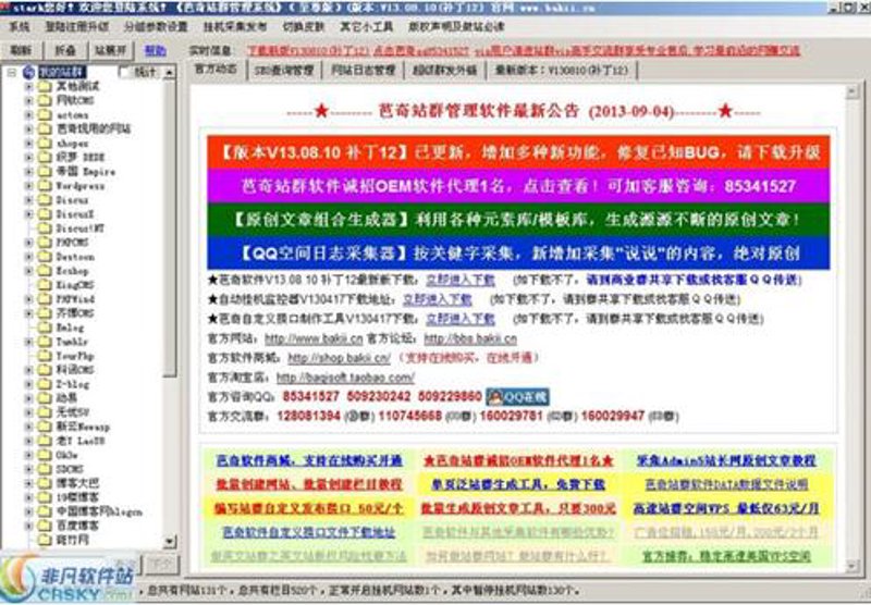 揭秘站群软件在网络营销中的创新应用