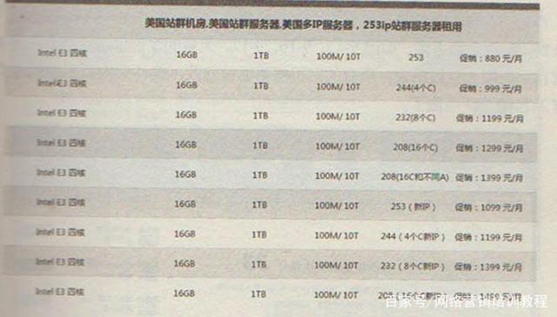 探索AI站群程序背后的智能力量